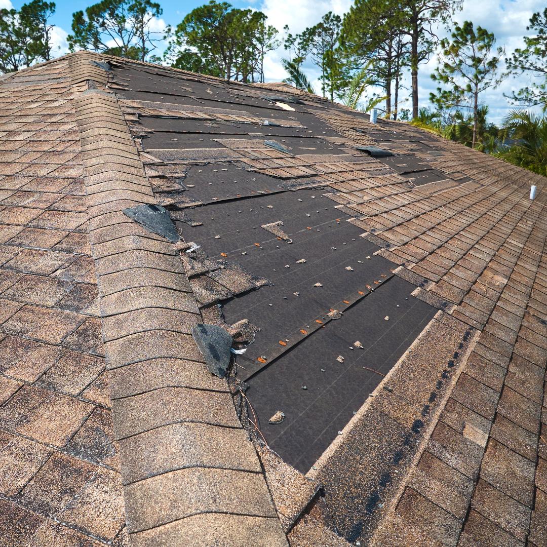 Roof Repair Roof Repair